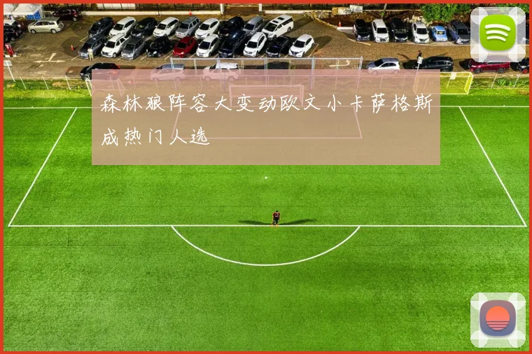 森林狼阵容大变动欧文小卡萨格斯成热门人选
