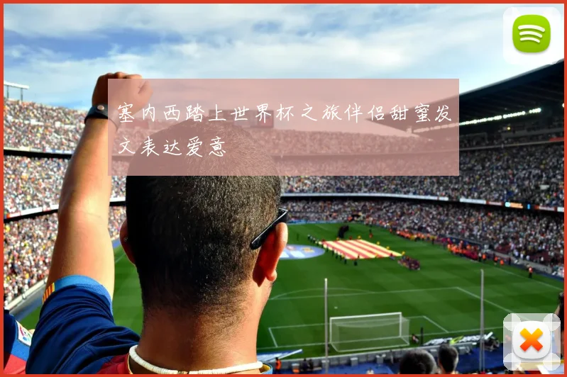 塞内西踏上世界杯之旅伴侣甜蜜发文表达爱意