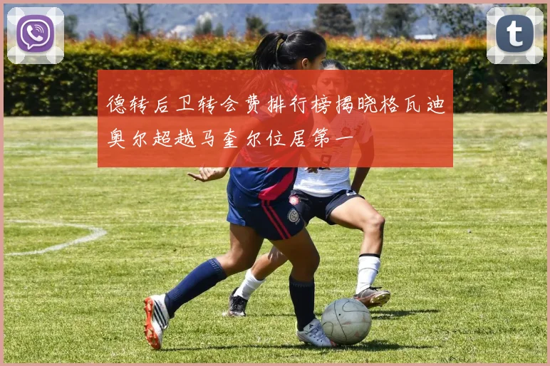 德转后卫转会费排行榜揭晓格瓦迪奥尔超越马奎尔位居第一