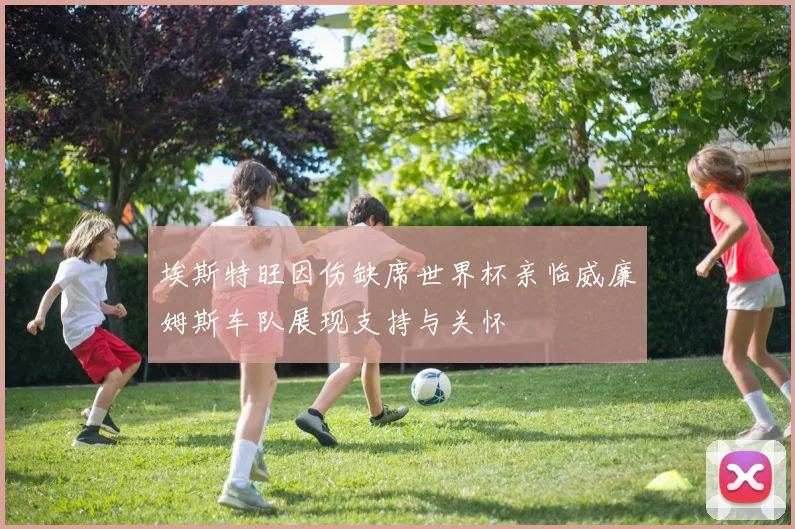 埃斯特旺因伤缺席世界杯亲临威廉姆斯车队展现支持与关怀